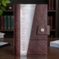 Brown leather bank deposit folder organizer binder with cash envelope pocket for receipts and bills. - Dark Brown Deposit Certificate Holder with Transparent Pockets