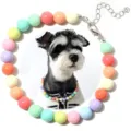 Collana per animali domestici di perle di colore caramella simpatico collare per cani gatti - 20+7cm / 1
