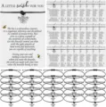 Bee wish bracelet with woven cord and inspirational card, perfect gift for women and girls. - Bee - 1-Piece Set