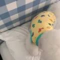 Schattig direnvest met dinosaurusprint voor honden en katten, zachte zomerkleding voor huisdieren. - S (Aanbevolen gewicht 1.5-2.5kg) / Gele Dinosauriër