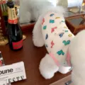 Schattig honden vest met dinosaurusprint zomer dunne huisdierenkleding voor kleine honden - S (Aanbevolen gewicht 1.5-2.5kg) / Witte Dinosaurus