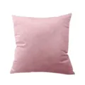 Pink short plush velvet pillowcase solid color minimalist throw cushion for sofa living room - Dusty Pink (Thickened Flannel)