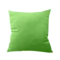 Solid green velvet throw pillowcase, soft plush cushion cover for modern sofa home decor. - Light Green (Thickened Flannel)