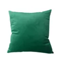 Dark green velvet pillow cover, soft short plush throw pillow case for sofa couch bed 18x18 - Emerald Green (Thickened Flannel)