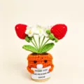 Handmade crochet strawberry potted plant knitted wool flower gift for teacher mother - Seal Strawberry Potted Plant