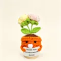 Handmade crochet potted plant with flowers, cute knitted flower gift for teachers or moms. - Seal Rose Potted Plant