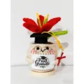 Handmade crochet graduation potted plant doll, cute graduation desk decor with cap and sign. - Potted Plant