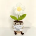 Handmade crochet potted flower emotional support plant cute desktop ornament gift variant - Puff Flower Potted Plant