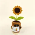 Handmade crochet sunflower potted plant with sunglasses and card desk decor gift. - Gold-Rimmed Potted Sunflower