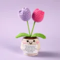 Handmade crochet potted tulip doll positive energy knitted flower cute desktop ornament gift - Style 10
