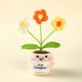 Handmade crochet potted plant cute knitted flower desktop decor positive energy gift - Style 19