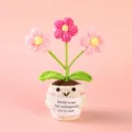 Handmade crochet potted flower with cute face positive energy knit plant gift for home decor - Style 22