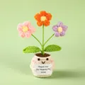 Handmade crochet potted flower toy, cute knitted plant ornament with thank you card for home decor. - Style 25