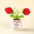 Handmade crochet potted plant knitted cute strawberry flower plush toy gift desktop decor - Style 28