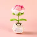 Handmade crochet potted flower positive energy doll knit cute potted plant home desk decor - Style 32