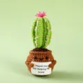 Handmade crochet potted cactus doll with encouraging sign, cute knitted desktop plant decor. - Style 42