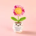 Handcrafted crochet potted flower doll with positive reminder card desk decoration. - Style 43