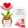 Handgemachte gehäkelte Herzblume Topfpflanze mit süßem Topf, perfektes Geschenk für emotionale Hilfe. - Tulpe Topfpflanze