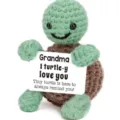 Handgemachte gehäkelte grüne Schildkröte Plüschtier mit Karte, niedliches emotionales Geschenk. - Meeresschildkröte mit G-Karte