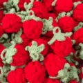 Handgefertigte Häkel Erdbeere Anhänger Accessoires DIY Strick süße rote Frucht Charms - Rote Erdbeeren (Fertigprodukt)