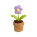 Handgemachte Häkel-Topfblume süße gestrickte Pflanze Dekoration für kreatives Schreibtisch-Setup - Style B Lila Puff-Blumen-Topfpflanze
