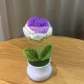 Handgefertigt Häkeln Topfblume gestrickte künstliche Rose Heimdekoration Wolle Handwerk Geschenk - Gradient Violette Rose Topfpflanze