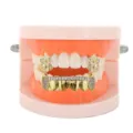 Hip hop gold grillz dental teeth caps with dollar sign and sparkling zircon stones for party. - Gold Set