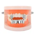 Iced out dollar sign grillz hip hop teeth jewelry for party and Halloween styling accessory - Silver Set