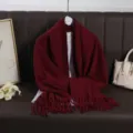 Solid color long tassel scarf for women, warm winter imitation cashmere neck wrap shawl. - Burgundy