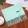 Mint green imitation cashmere winter scarf with fringes, solid color long shawl for women. - Light Green