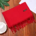 Solid color red imitation cashmere winter scarf with elegant fringes and brand tag decoration. - Wine Red