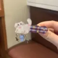 Schattige acryl kat haarspeld met hangende vis en ster bedels, geruite haarclip voor aan de zijkant. - Kat Vissen Haarspeld / Rood Blauwe Ruit