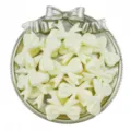 Acrylic bow vertical hole loose beads DIY jewelry accessories crafting materials for bracelet charm - Beige