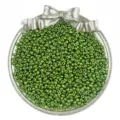 Glass seed beads for DIY jewelry making, small loose beads in decorative tray accessory - Bamboo Green