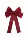 Nœud papillon bordeaux vue de détail, bel accessoire de chemise élégant pour femmes. - Nœud papillon rouge mat avec épingle 043