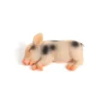 Niedlicher schlafender Schwein Kühlschrankmagnet Resin 3D Tier Figur Deko Geschenk - Seitlich liegendes weißes Schwein mit schwarzen Punkten
