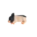 Niedliches schlafendes schwein harz kühlschrankmagnet detailansicht mit toller 3d-struktur. - Seitlich liegende Figur mit schwarzem Kopf, Rücken und Gesäß