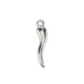 Silver chili pendant charm DIY jewelry accessory for stylish necklace and bracelet crafting - Chili Pendant