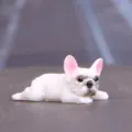 Mini statuetta bulldog francese bianco, simpatico cucciolo decorazione dettaglio. - Bulldog Francese Macchiato Bianco che Dorme
