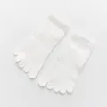 Women's pure cotton mesh five-toe socks, short tube solid color breathable casual socks - White