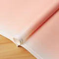 Papier d'emballage floral mat imperméable rose, design dégradé Milano double ligne pour bouquet. - Paquet de 20 / Champagne