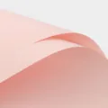 Papier d'emballage Oya rose uni, matériel étanche pour fleurs et emballage cadeau élégant. - Rose chair