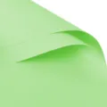 Papier d'emballage pour fleurs vert clair imperméable macaron couleur unie pour cadeau SKU - Vert Fruit