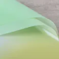 Farbverlauf OPP Folie Blumen Geschenkpapier Wasserdicht für DIY Blumenstrauß Hellgrün - 20 Stück/Packung (56x56cm) / Sonnenschein Grüne Traube