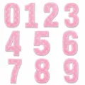 Pink star number embroidered patches 0-9 set, DIY clothing hat shoes decorative sew on appliques. - Full Set Of 10