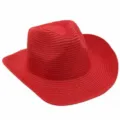 Detalle sombrero de paja rojo, liso con ala curva, ideal para la playa y la protección solar. - Rojo