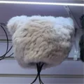 Plush bear ear winter warm hat, fluffy thick fuzzy cap for cold weather detail view. - Panda Ears Rabbit Fur - Gray