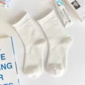White crew socks for women, spring summer sweet JK style cotton solid color hosiery item. - Ribbed Rolled Edge