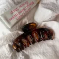Large amber tortoiseshell hair claw clip minimalist hollow shark clip for women styling accessory - Round Head Dragon Bone / Large Style / Polished French Amber
