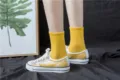 Comfortable yellow cotton mid-calf socks featuring soft ribbed design for women and girls daily wear. - Size 35-40 / Turmeric